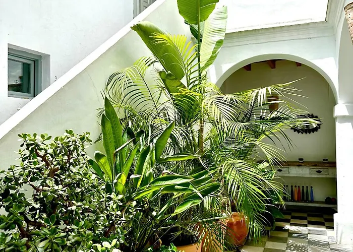 Spacious Private Vejer Patio Home